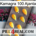 Kamagra 100 Ajanta cialis1